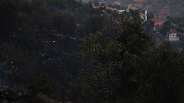 Malatya'da orman yangını (4)