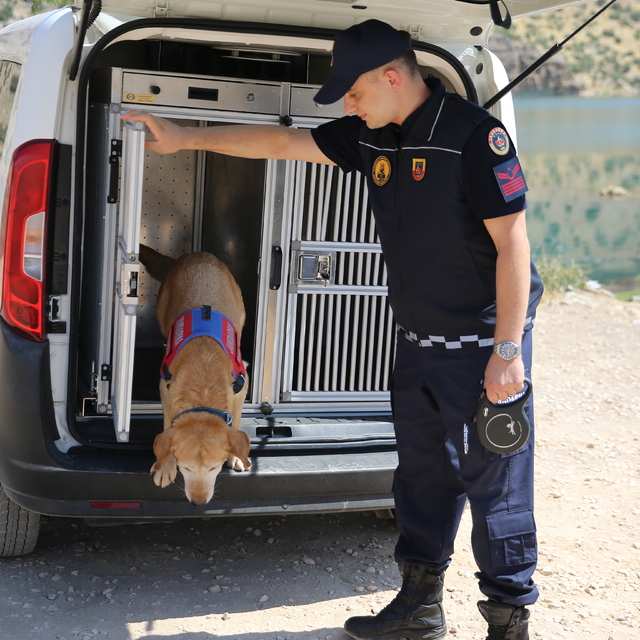 Kadavra arama köpeği "Pusat" jandarmanın en büyük yardımcısı