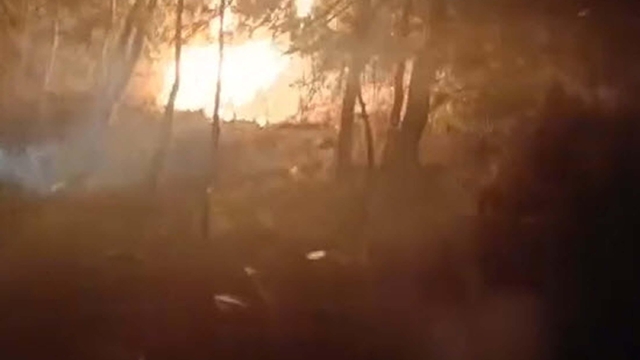 Define ararken ormanı yakan sanıklara 18'er yıla kadar hapis istemi