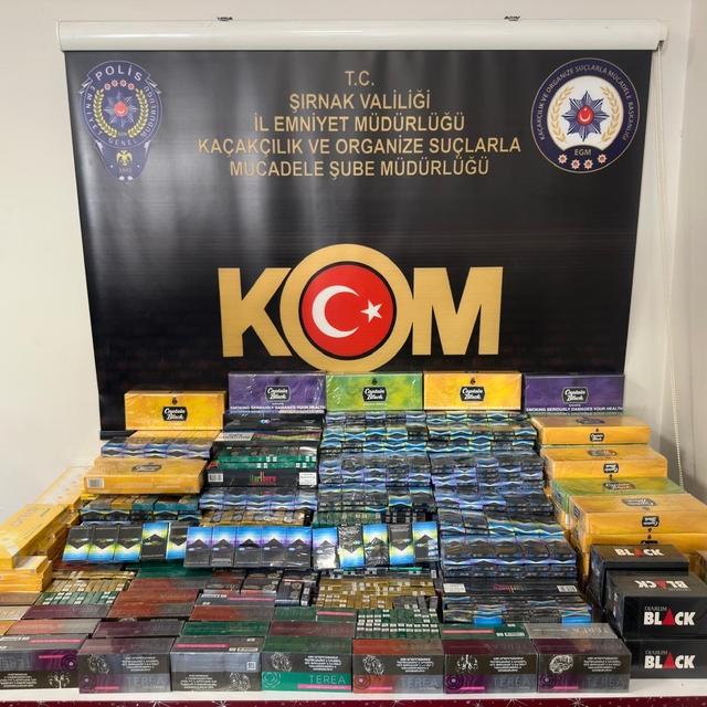 Şırnak'ta kaçakçılık ve asayiş operasyonlarında 29 kişi hakkında işlem yapı...