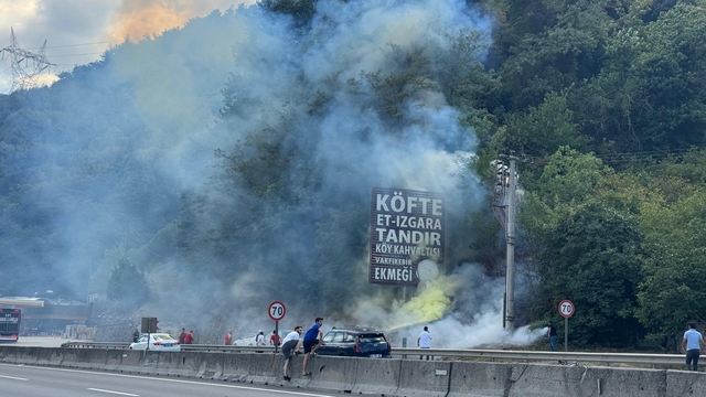 Sakarya'da çıkan yangın, vatandaşların müdahalesiyle ormana sıçramadan söndürüldü