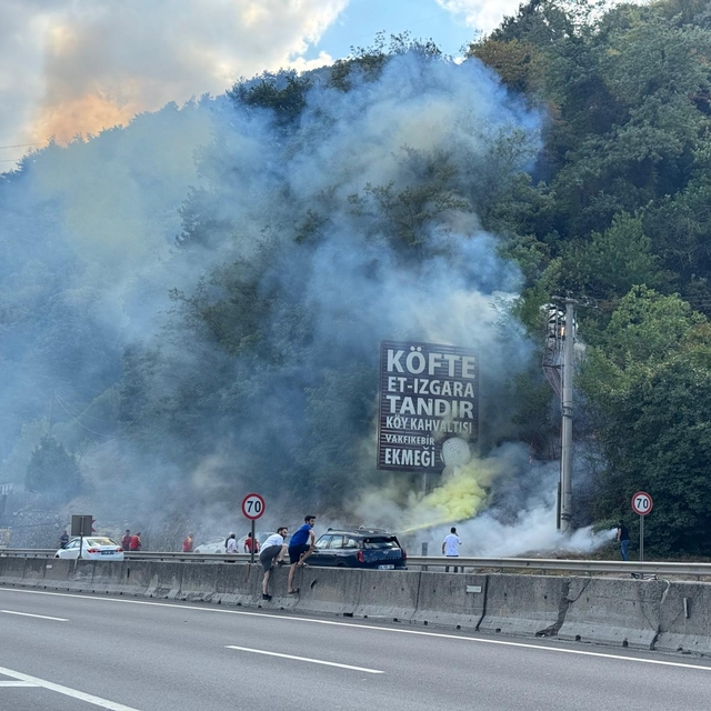 Sakarya'da çıkan yangın, vatandaşların müdahalesiyle ormana sıçramadan sönd...