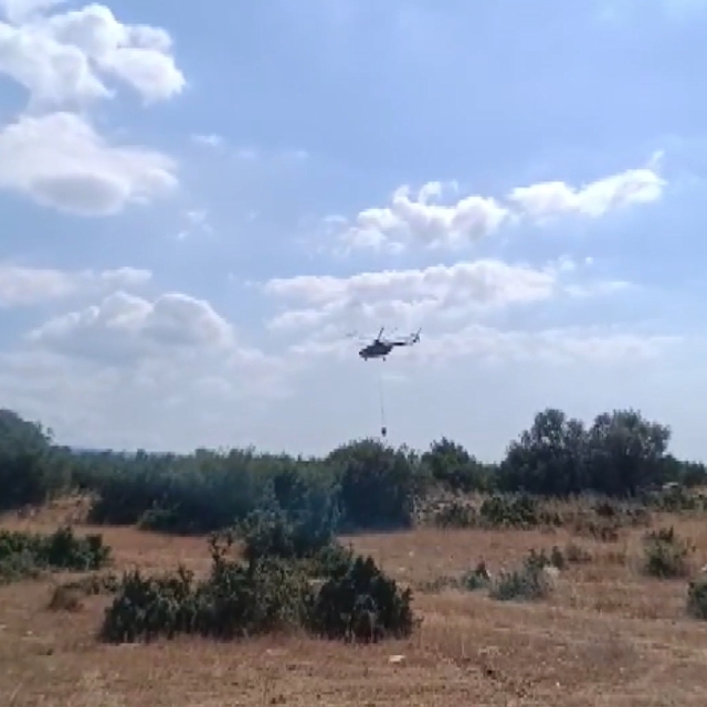 Bursa'da orman yangını (2)