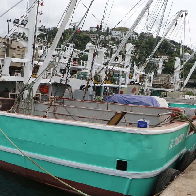 Balıkçılar av sezonu öncesinde son hazırlıklarını yapıyor