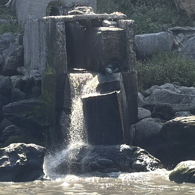Amasra'da kanalizasyon suyunun denize akmasına tepki