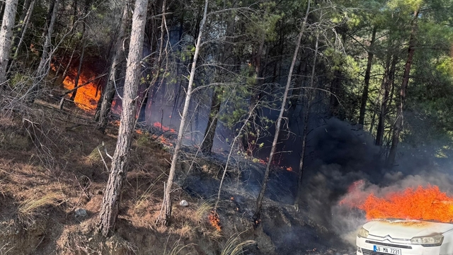 Muğla'da otomobilde çıkan ve ormana sıçrayan yangın söndürüldü