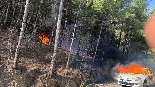 Park halindeki otomobilde çıkan yangın ormana sıçradı