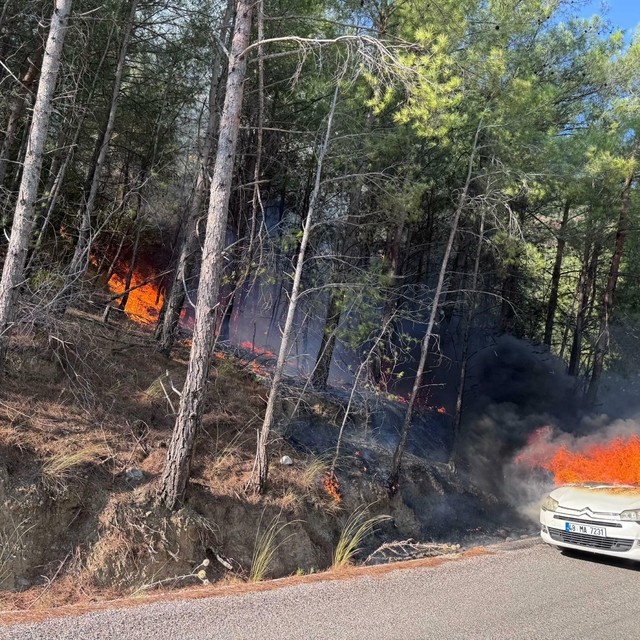 Park halindeki otomobilde çıkan yangın ormana sıçradı