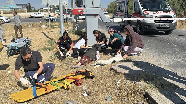 Hemzemin geçitte yük treni çarpan yaya yaralandı