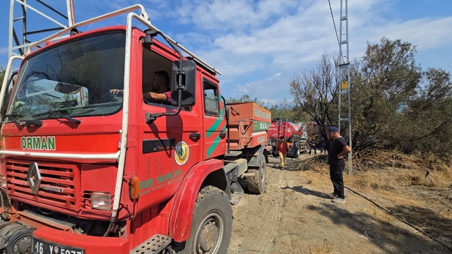 Bursa'nın Mudanya ilçesinde ormanlık alanda çıkan yangın söndürüldü