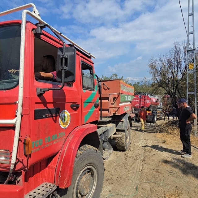 Bursa'nın Mudanya ilçesinde ormanlık alanda çıkan yangın söndürüldü