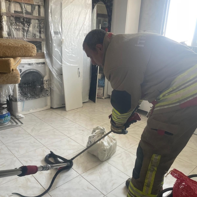 Antakya'da eve giren yılan itfaiye ekibince yakalandı