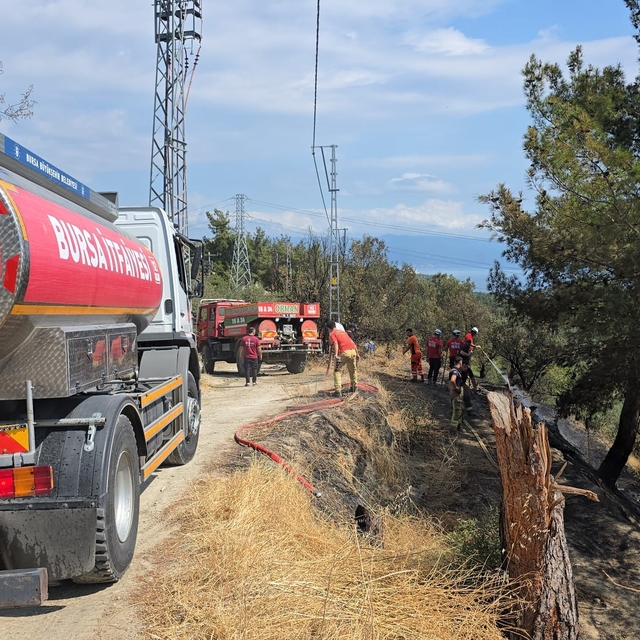 Mudanya'da 1 dönüm orman yandı