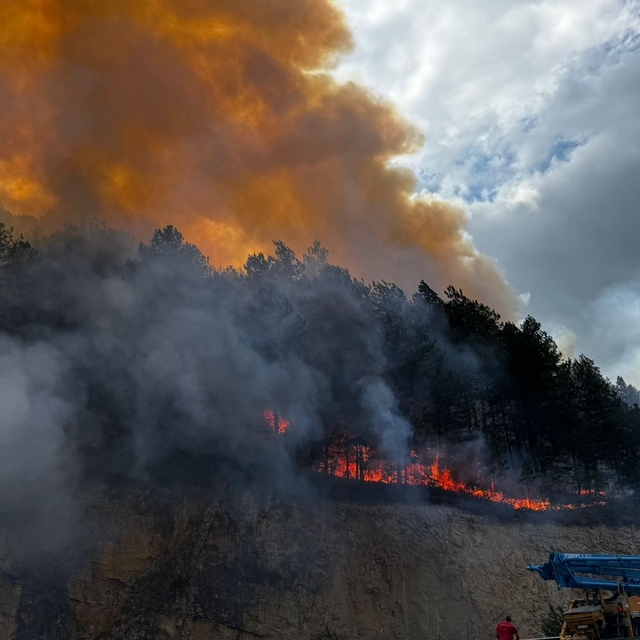 Bolu'da ormanlık alanda çıkan yangına müdahale ediliyor