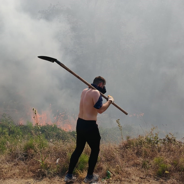 Bolu'da orman yangını (2)