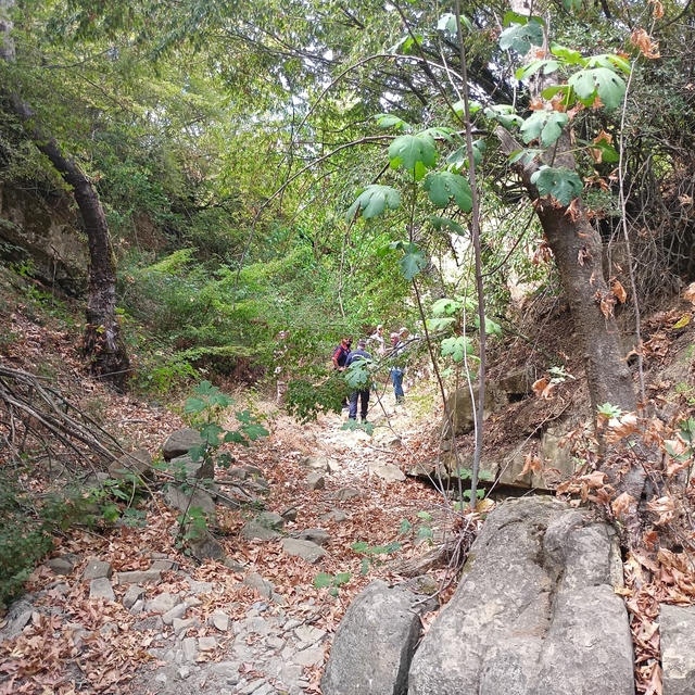 Tekirdağ'da kayıp olarak aranan yaşlı kadın ölü bulundu
