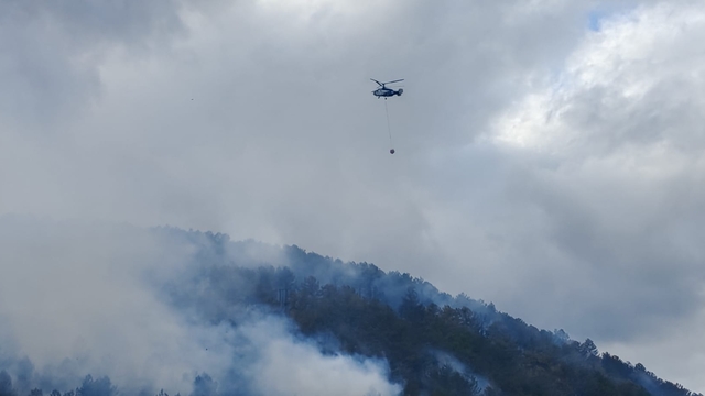 Bolu'da orman yangını (3)