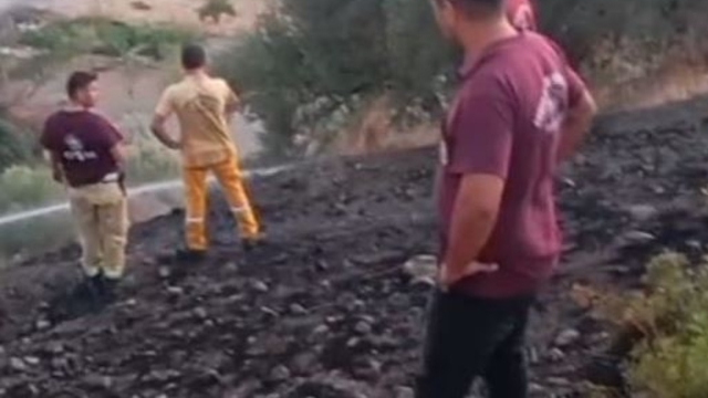 Muğla'da zeytinlikte çıkan yangın 1 saatte söndürüldü