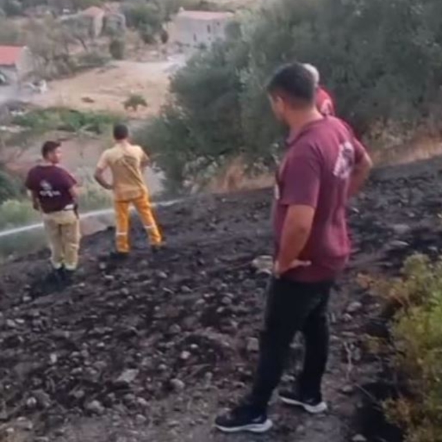 Muğla'da zeytinlikte çıkan yangın 1 saatte söndürüldü