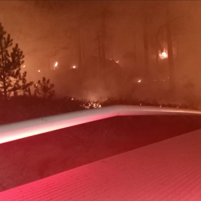 Muğla'da orman yangını