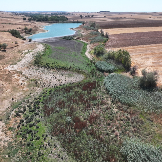 Edirne'deki Korucuköy Göleti'nin su seviyesi kuraklık nedeniyle azaldı