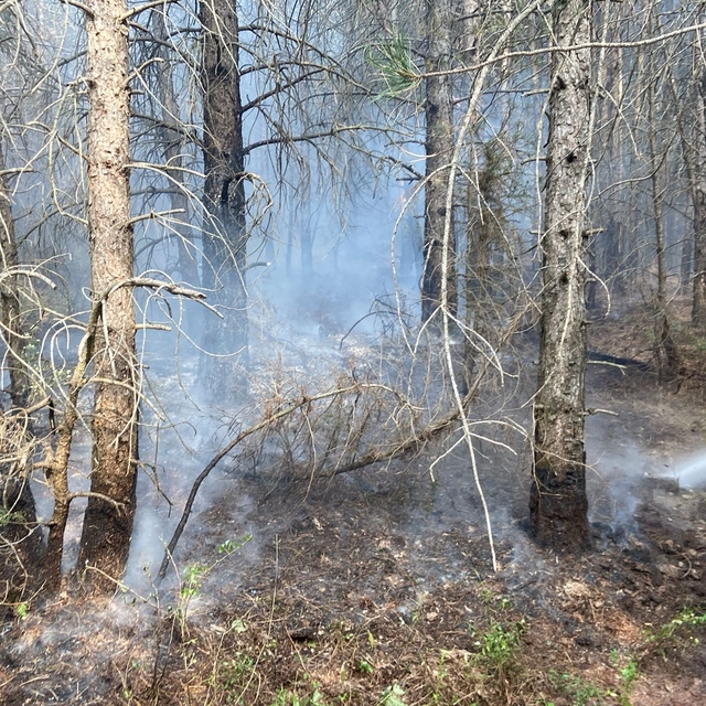 Bolu'da kontrol altına alınan orman yangınında soğutma çalışmaları sürüyor