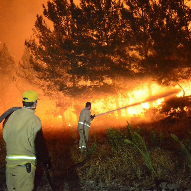 Çanakkale'deki 4 yangında 5 bin 236 hektar orman alanı zarar gördü