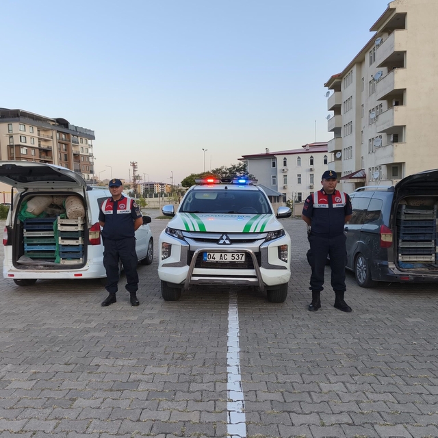 Ağrı'da ele geçirilen 240 kilogram kurbağa doğaya bırakıldı