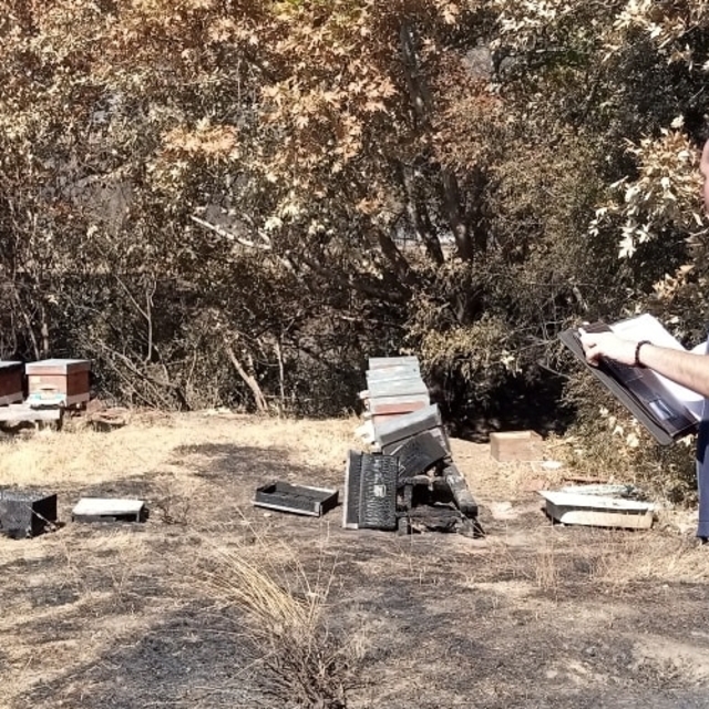 Gelibolu'da yangın sonrası hasar tespit çalışmaları başladı