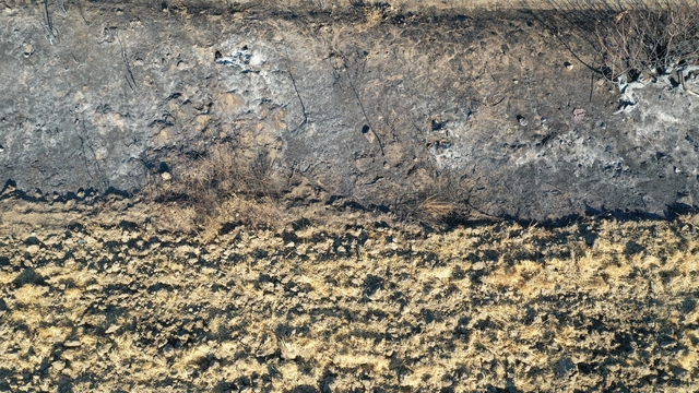Galeri