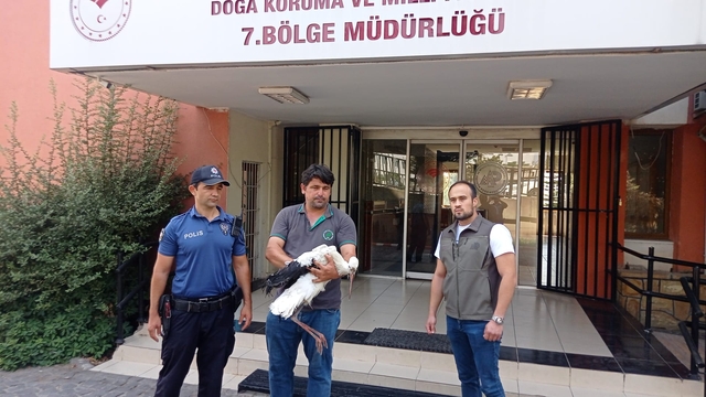 Adana'da yaralı bulunan leylek tedaviye alındı