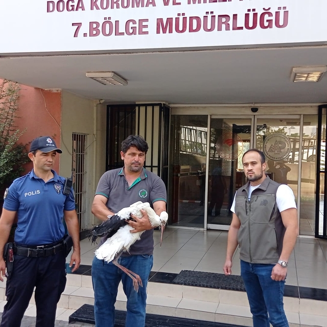 Adana'da yaralı bulunan leylek tedaviye alındı