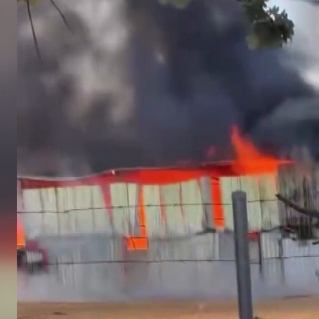 Bursa'da çiftlikte çıkan yangın 1 saatte kontrol altına alındı