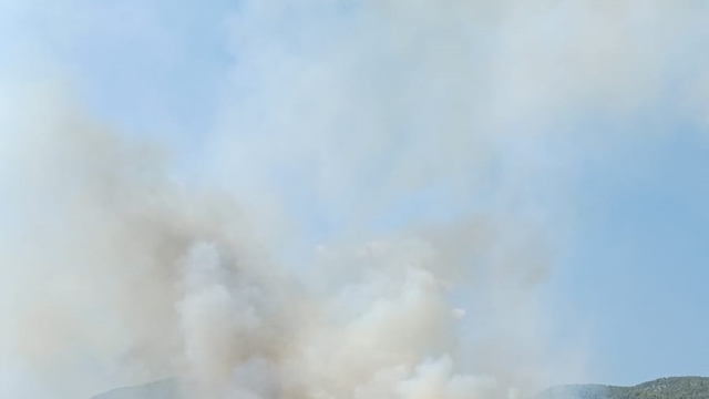 Muğla'da ormanlık alanda yangın çıktı