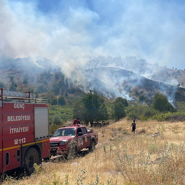 Bingöl'de örtü yangını