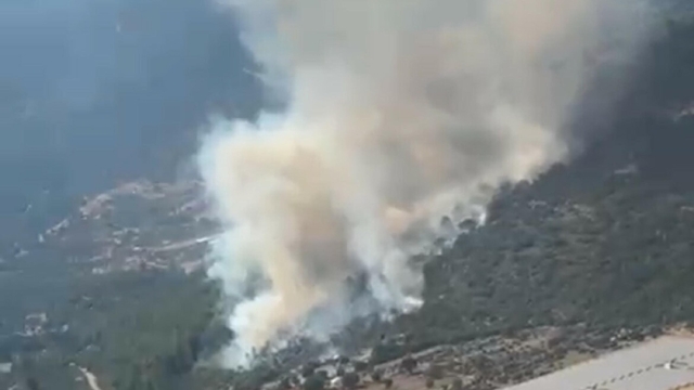 Muğla'da orman yangını