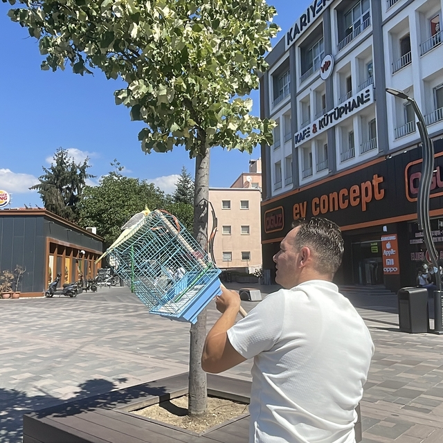 Bolu'da kaçan sultan papağanı yakalamak için vatandaşlar seferber oldu