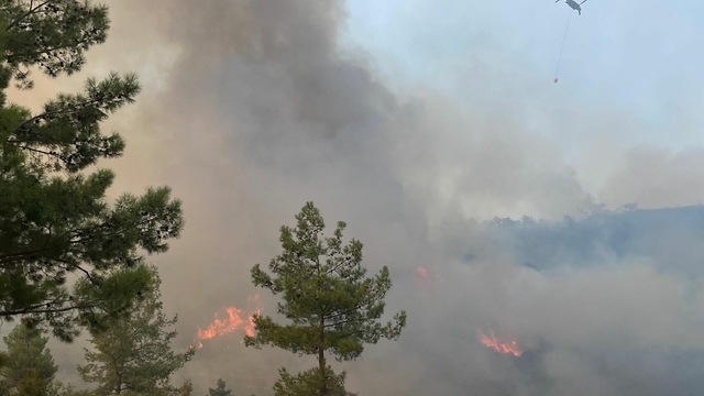 Muğla'da orman yangını (2)