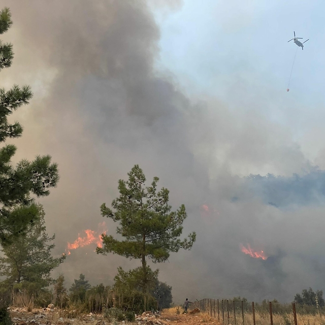 Muğla'da orman yangını (2)