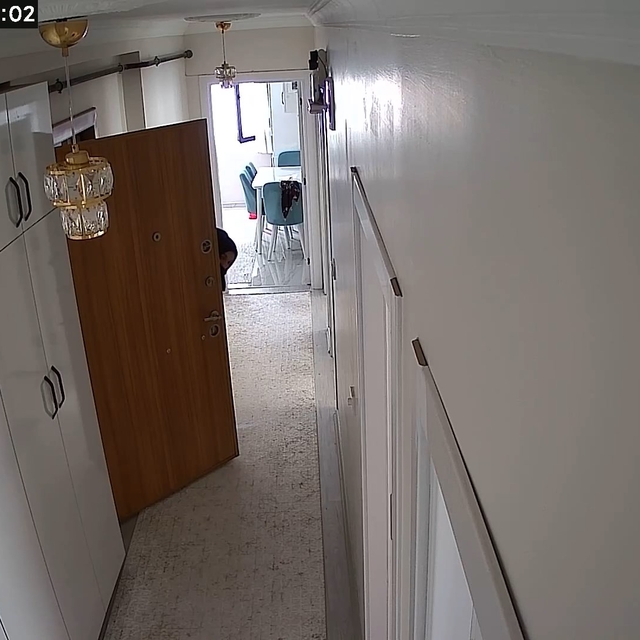 3 kadının dairedeki hırsızlık girişimi kamerada