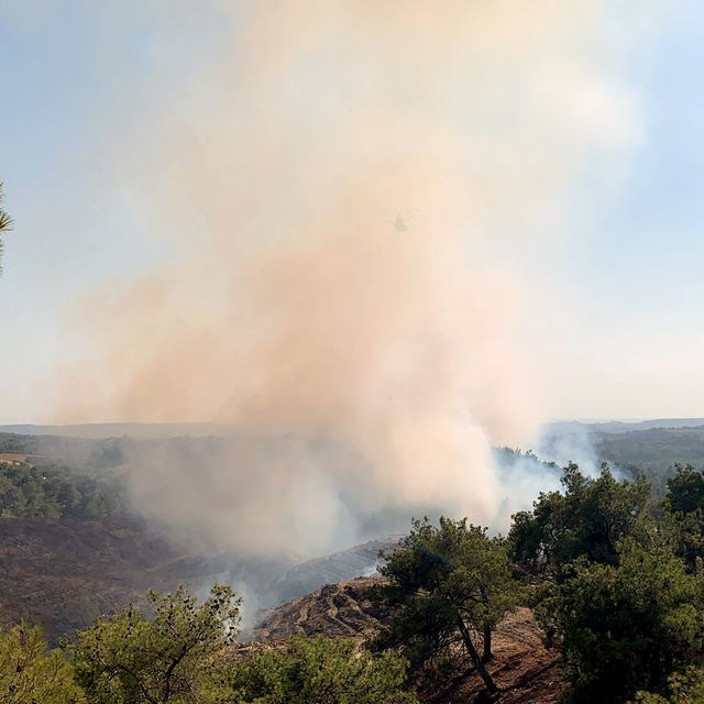 Adana'da orman yangını