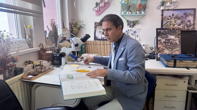 Konya'da keşfedilen yeni bitki türü "Konya Sümbülü" ismiyle literatüre kazandırıldı