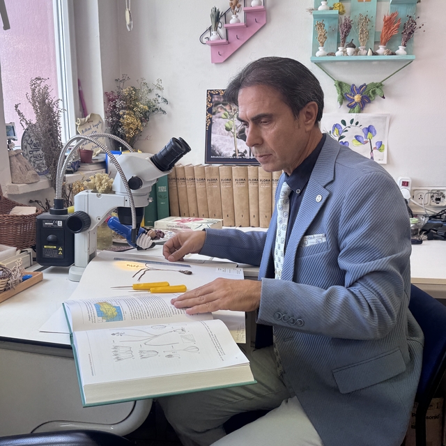 Konya'da keşfedilen yeni bitki türü "Konya Sümbülü" ismiyle literatüre kaza...