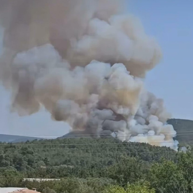 İzmir'de orman yangını