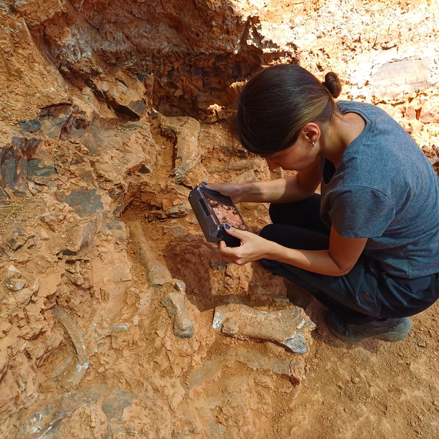 Denizli Tavas'taki kazılarda bulunan fosil türü 27'ye ulaştı