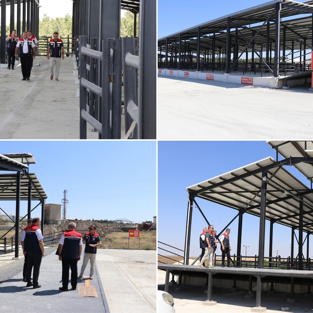 Edirne Tarım ve Orman Müdürü Köse, canlı hayvan pazarında incelemede bulund...