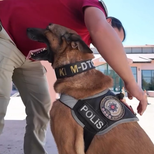 Narkotik köpeği 'Pars' emekliye ayrıldı