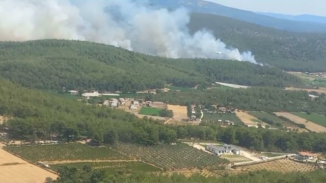 İzmir'de orman yangını (2)