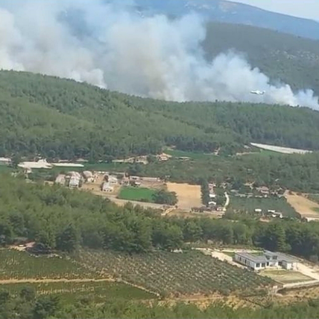 İzmir'de orman yangını (2)