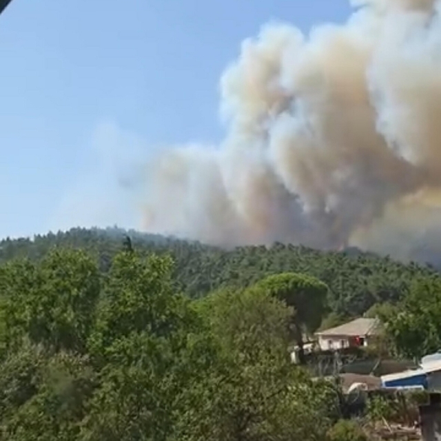 Çanakkale'de orman yangını